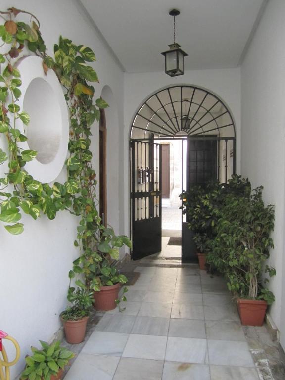 אל פוארטו דה סנטה מריה Baobab Hostal חדר תמונה